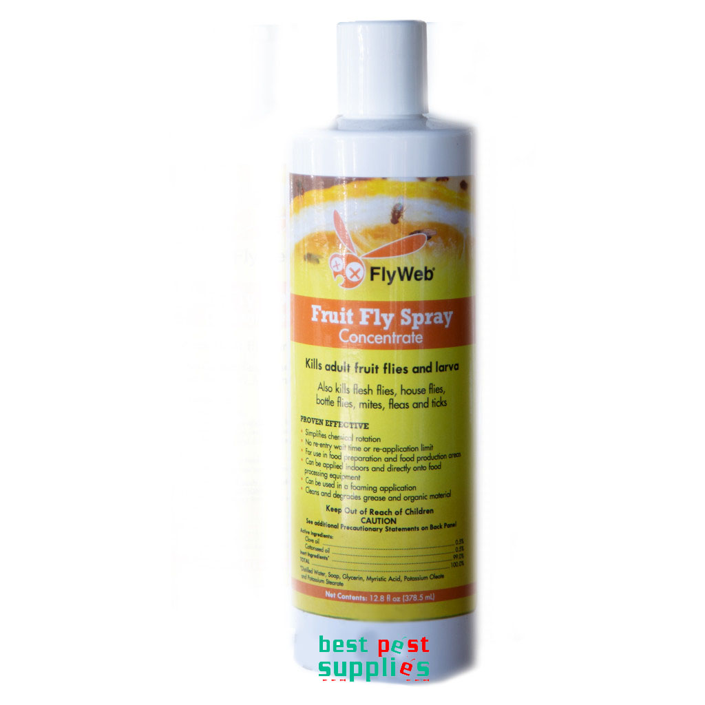 Fruit Fly Spray Concentrate - Chemical Insect Control