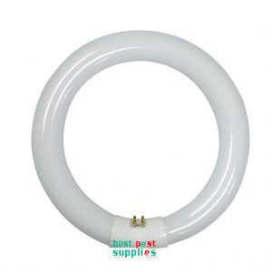 Synergetic Bulb - 22 watt Circline (TGX22)