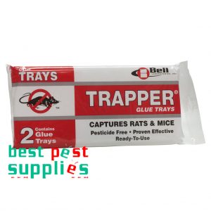 Trapper Rat Glue Board Traps 2/pk