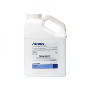 Advance Carpenter Ant Bait - bottle (2 lb)