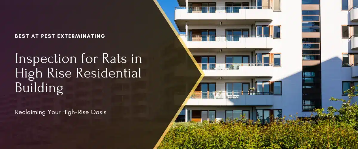 Inspection for Rats in High Rise Residential Building