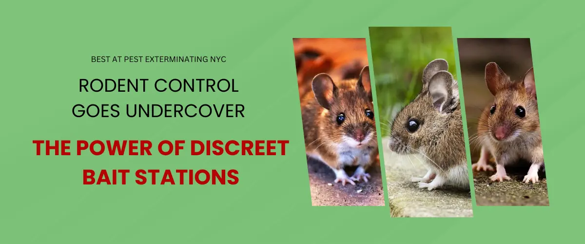 Rodent Control Goes Undercover: The Power of Discreet Bait Stations
