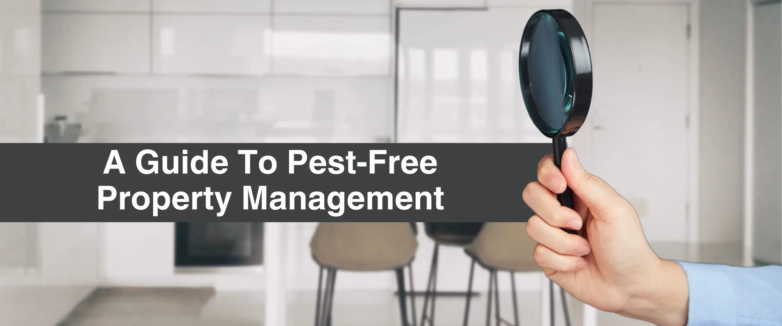 A Guide To Pest-Free Property Management
