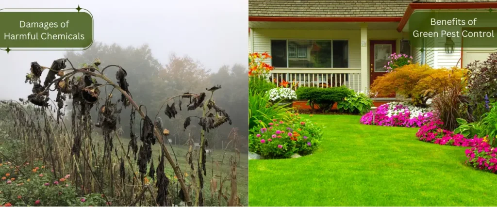 Benefits of green pest control