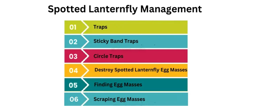 Spotted Lanterfly management