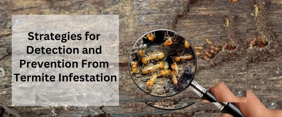 Strategies for Detection and Prevention From Termite Infestation
