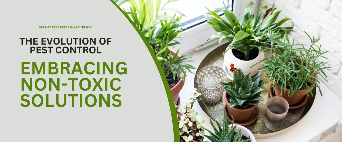Embracing Non-Toxic green pest control Solutions