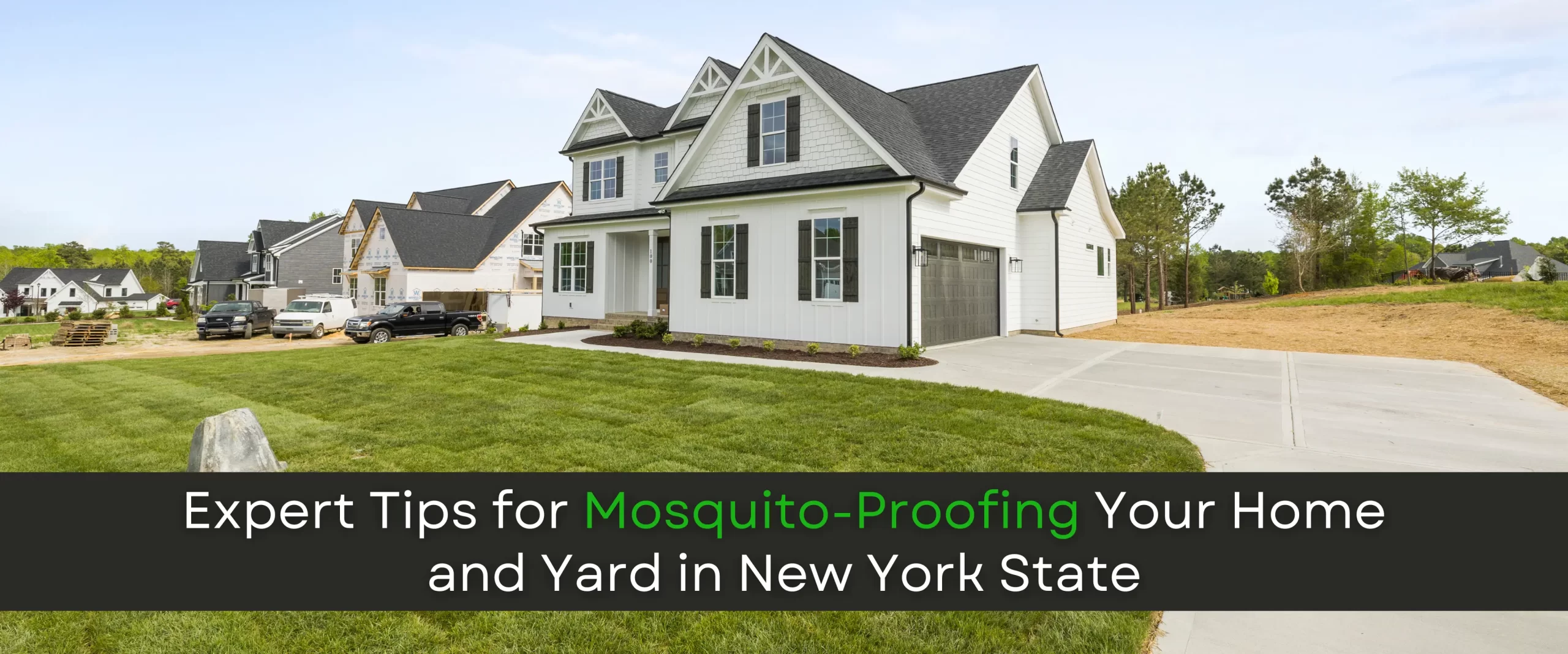 Expert Tips for Mosquito-Proofing Your Home and Yard in New York State