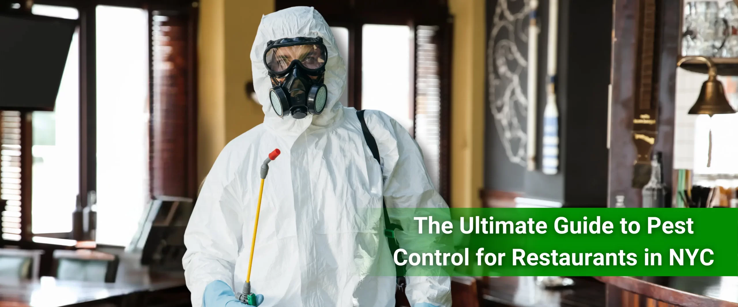 The Ultimate Guide to Pest Control for Restaurants in NYC