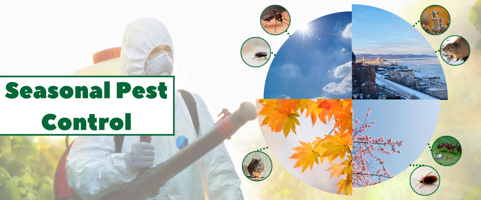 Essential Seasonal Pest Control Tips for NYC Homeowners