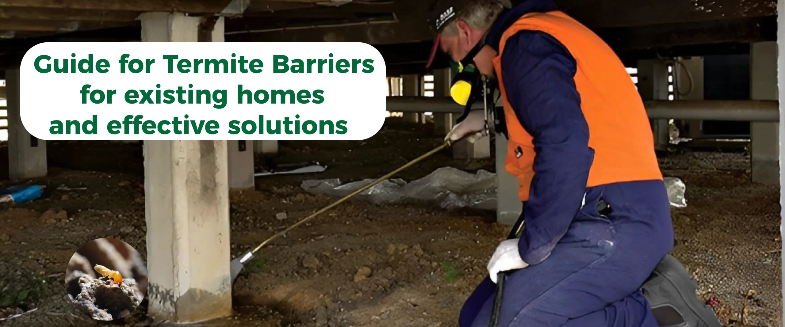 Fortress Guide for Termite Barriers for existing homes and Effective Solutions