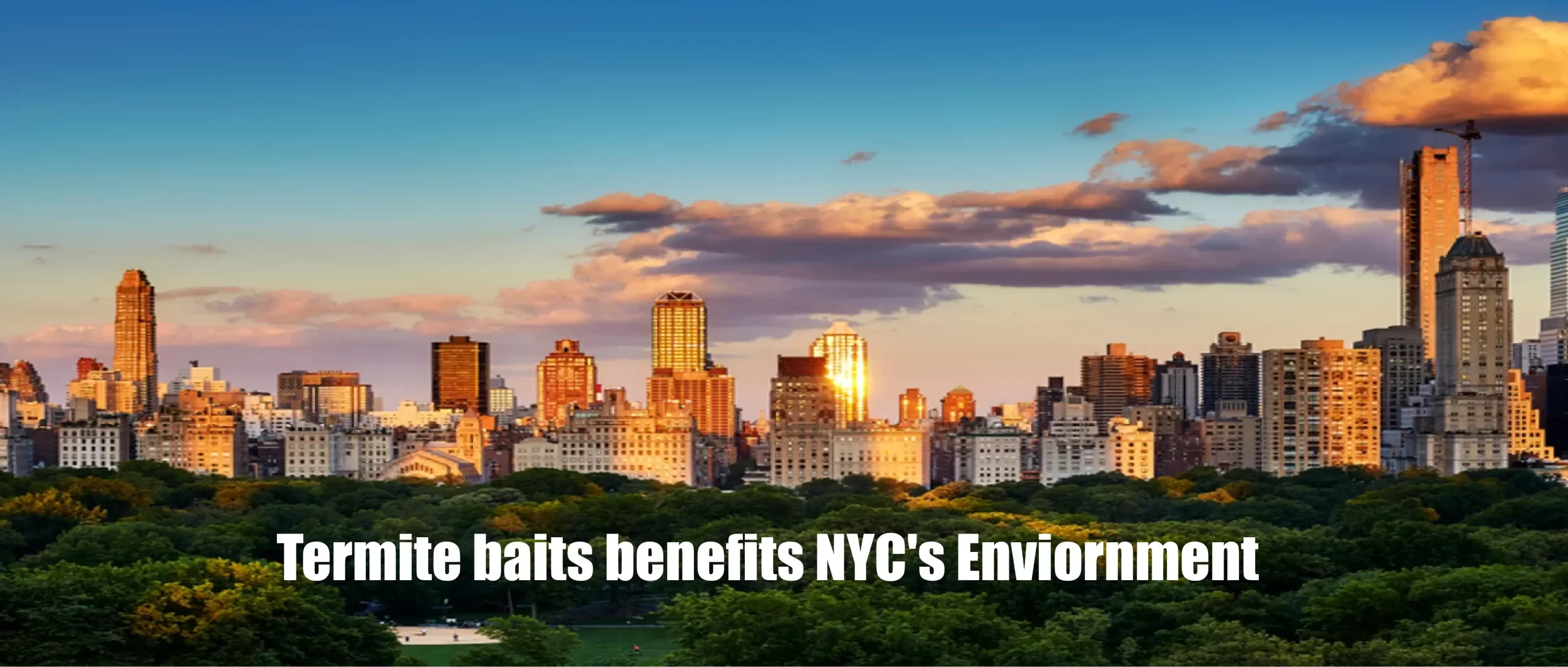 Sustainable Pest Control: How Termite Baits Benefit NYC’s Environment
