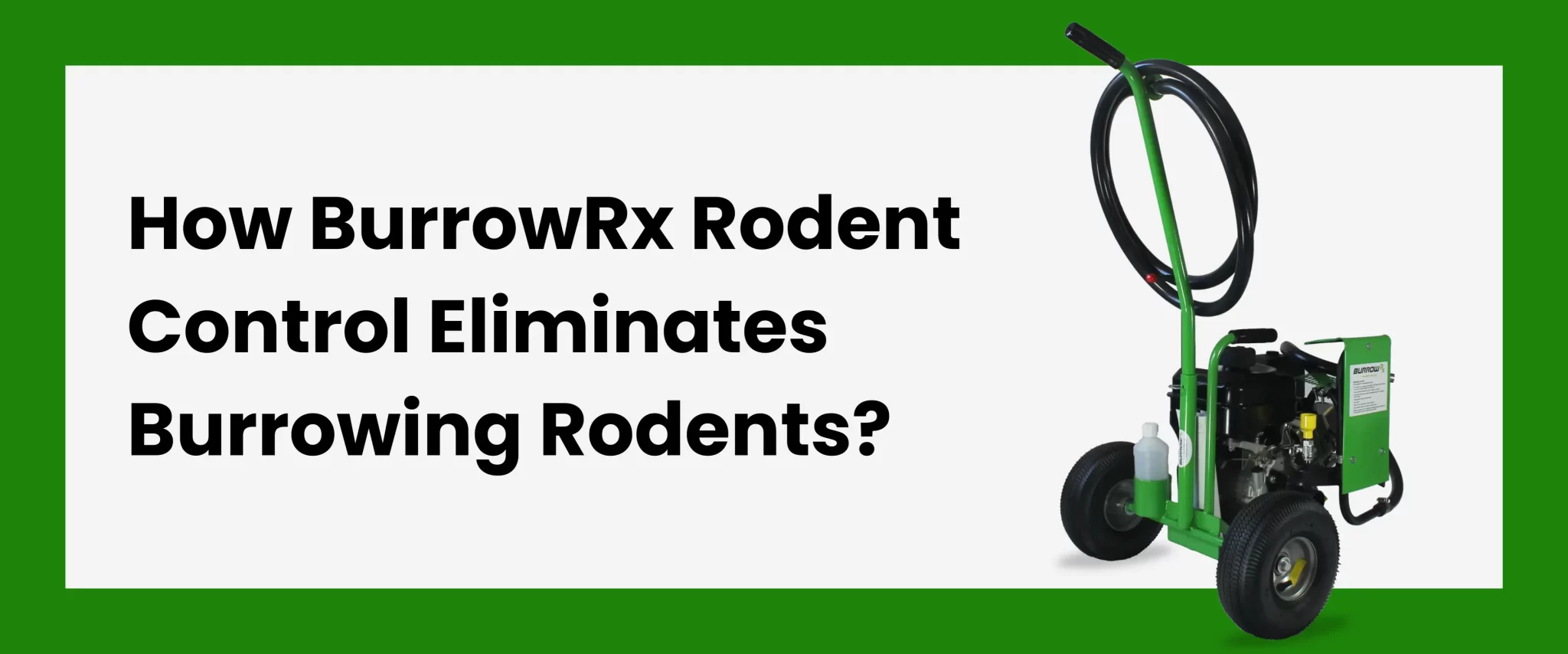 How BurrowRx Rodent Control Eliminates Burrowing Rodents?