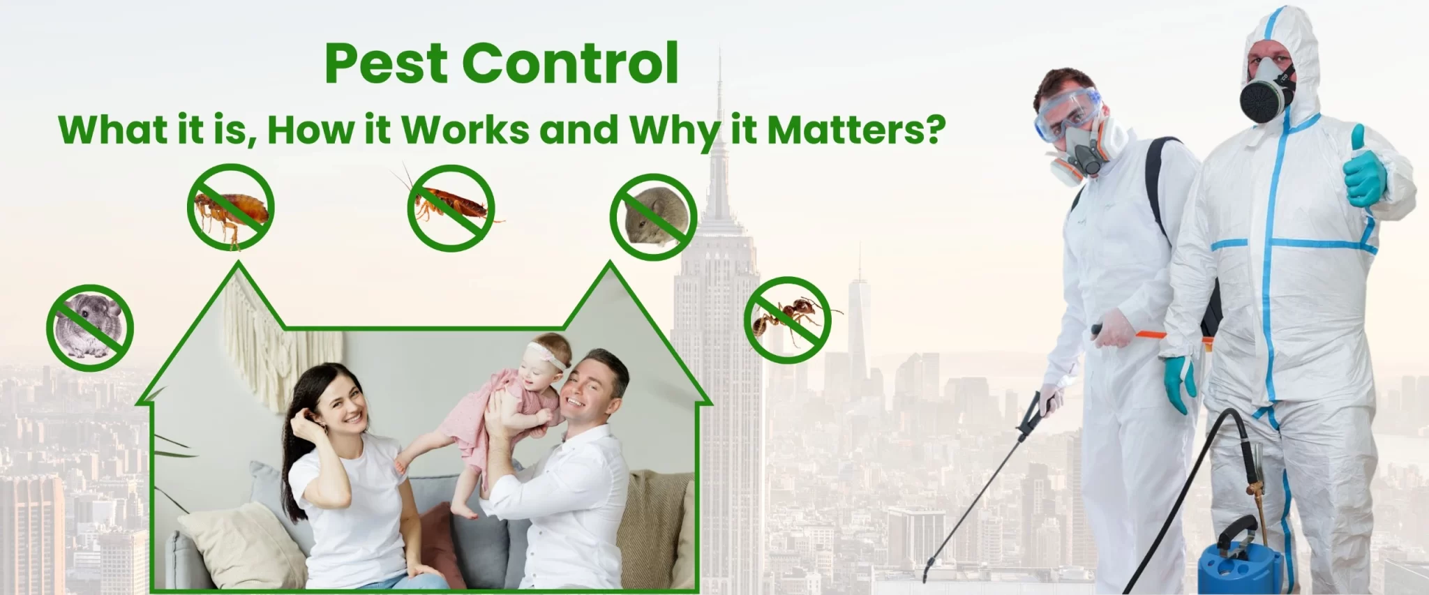 What It Is Pest Control, How It Works, and Why It Matters, How It Works, and Why It Matters
