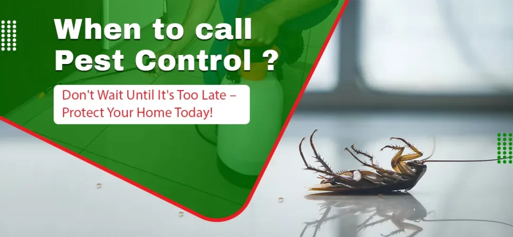 When to Call Pest Control: Signs You Need Pest Control Services