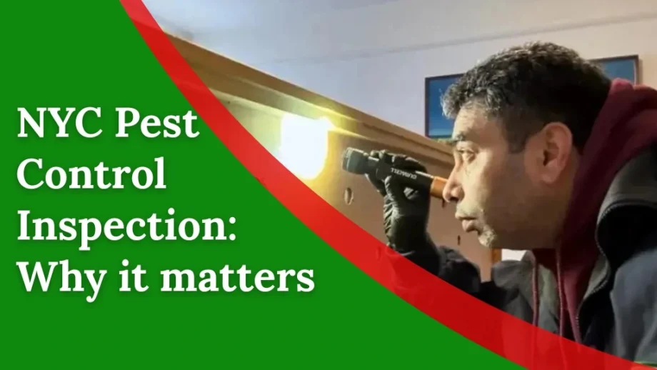 Pest control inspector in NYC using a flashlight to check furniture for signs of infestation during a home inspection.