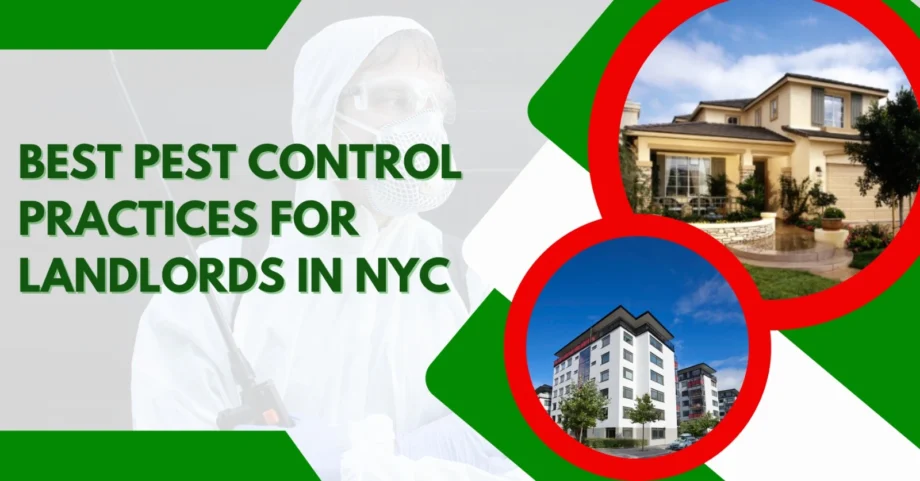Pest control worker with text highlighting best pest control tips for landlords in NYC residential properties.