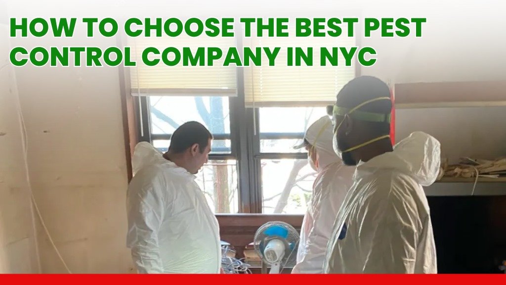 Technicians in protective suits handling pest control in a NYC home. A guide to choosing the right pest control company.
