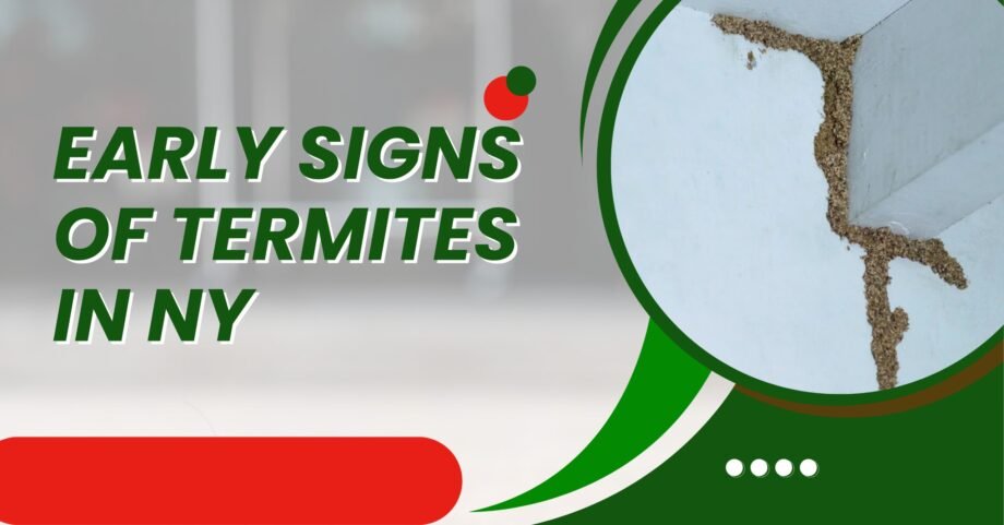 Termite mud tubes on a wall corner showing early signs of termite infestation in a New York home.