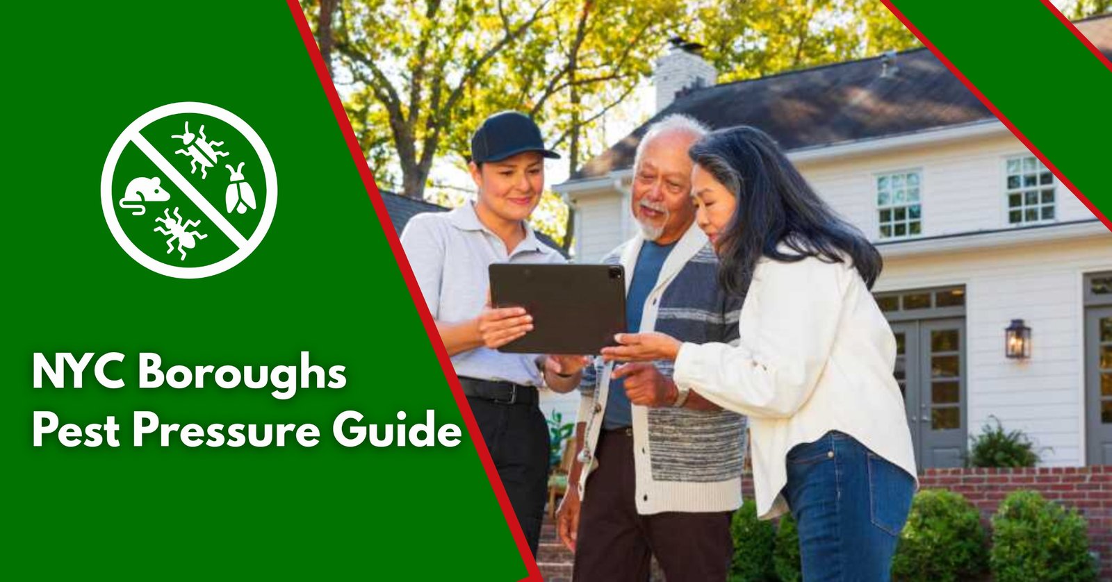 NYC Neighbourhood Guide: How Pest Pressure Differs Between Boroughs