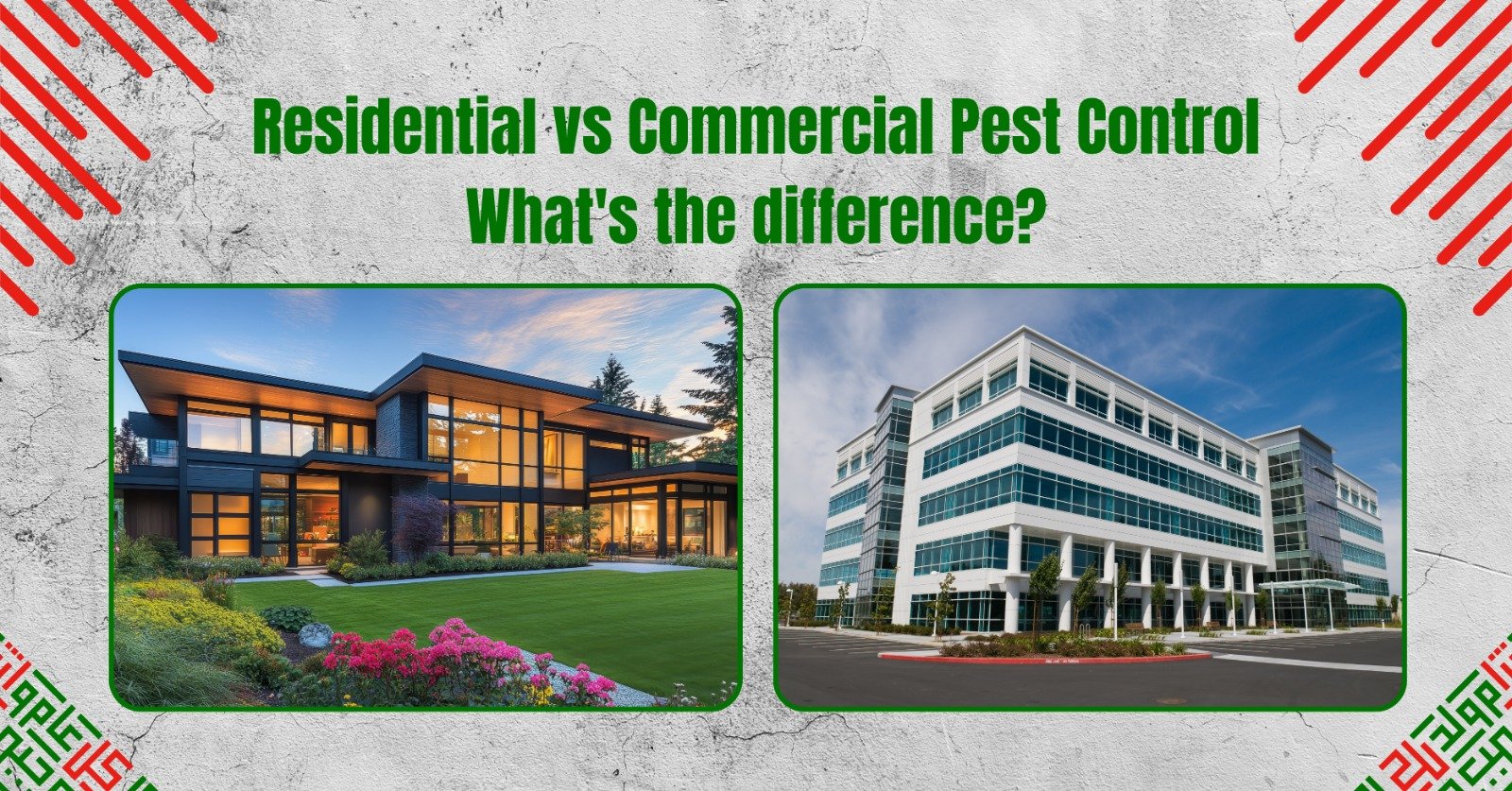 Residential vs Commercial Pest Control: Understanding the Key Differences and Choosing the Right Solution