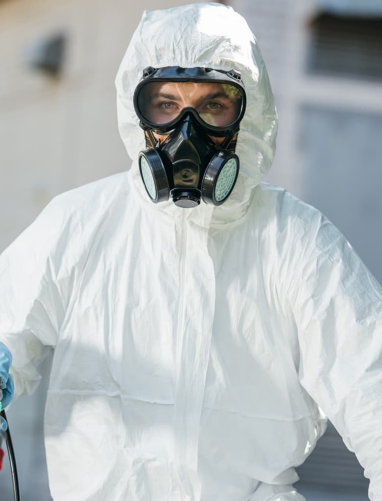 In viverra faucibus tellus, sed cursus quam fringilla sit amet