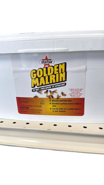 Golden Marlin Fly Bait
